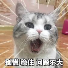 2026 年初看AI时代的变与不变（上）